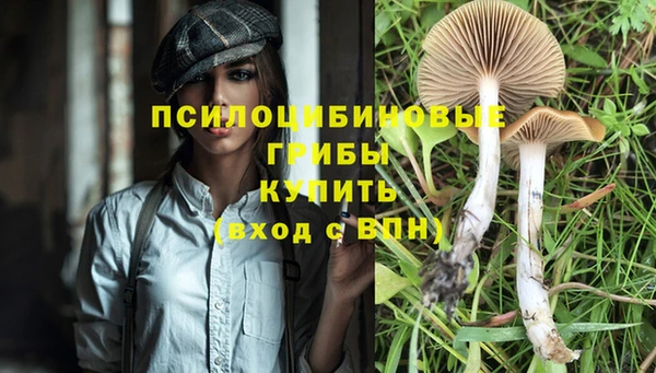 spice Абдулино